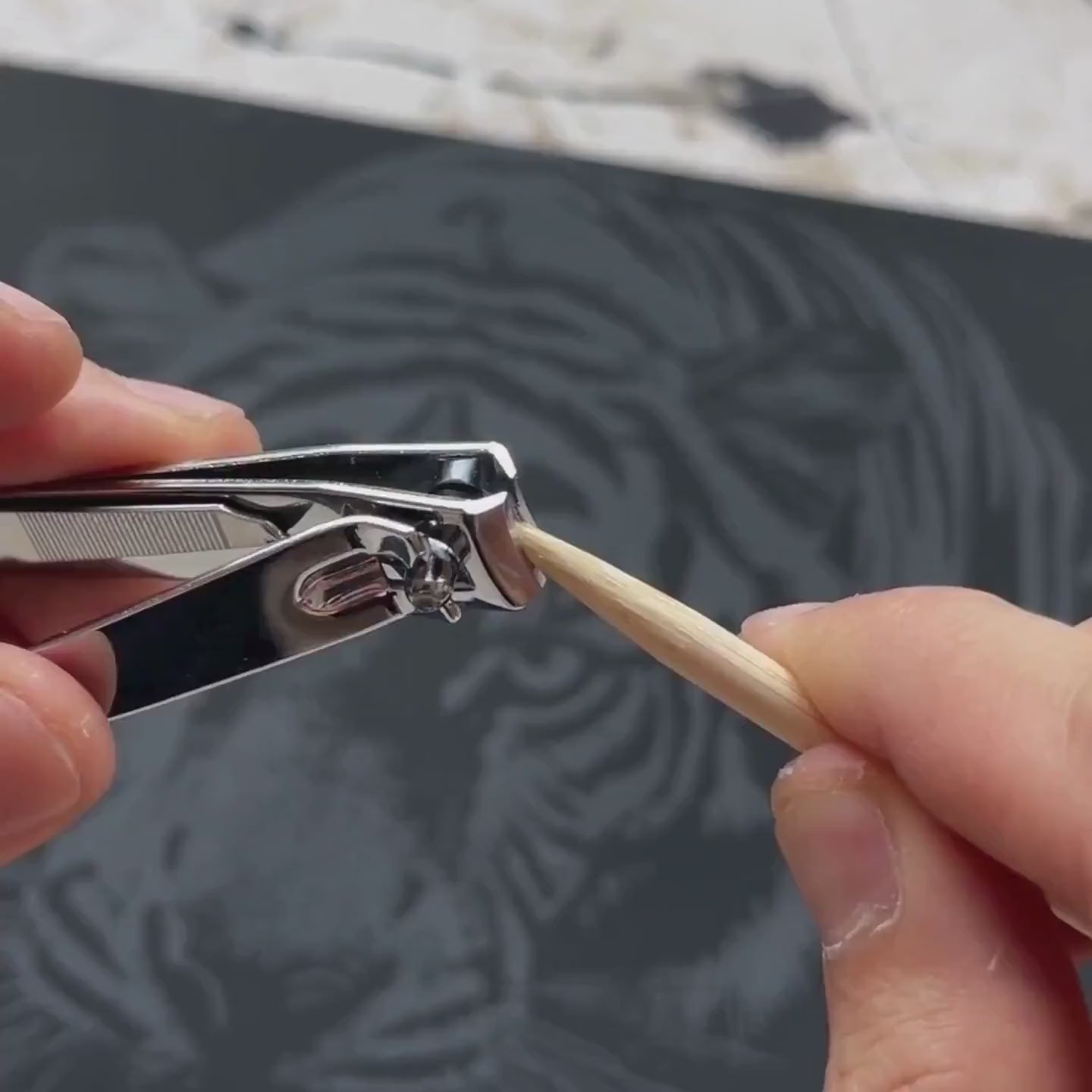 ワイルドライフ 61ieyix4sBL.jpg_BO30,255,255,